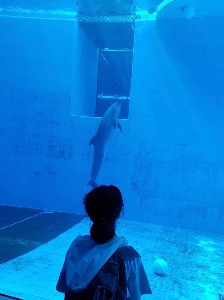 ebb3eb233be27c9d203d363c8b318f7610fc8082e423742660f58238bba6585c.0.jpg